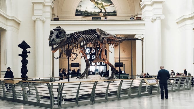 Museum of the Rockies