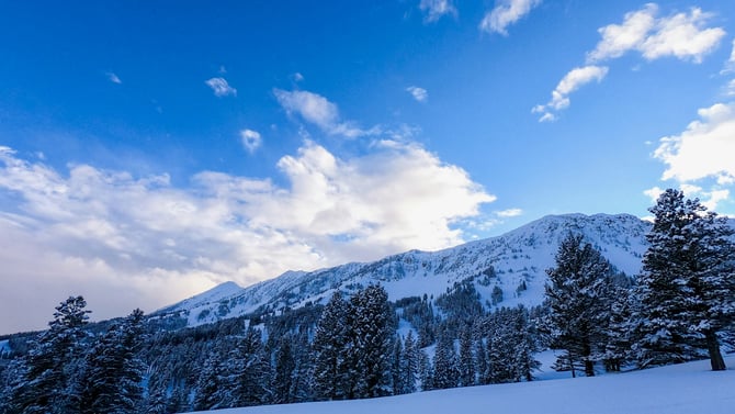 Bridger Bowl Ski Area